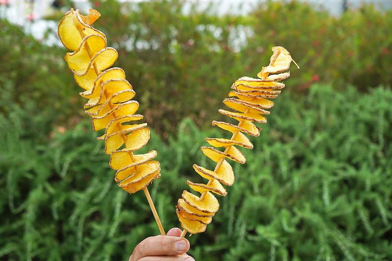 Anonymous person holding two skewers of tornado potatoes (or spiraled potatoes on a stick).