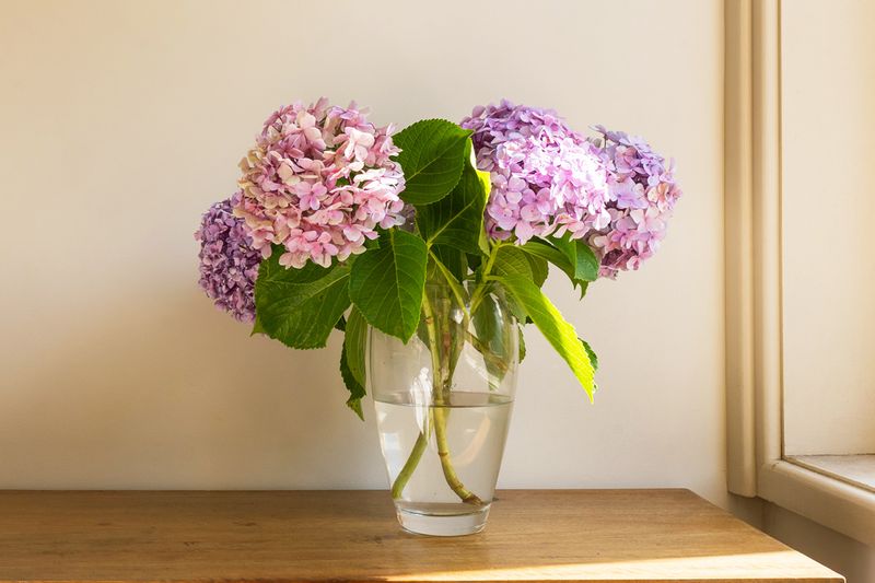 A bouquet of pink and purple hydrangeas in a clear glass vase on a wooden countertop.
