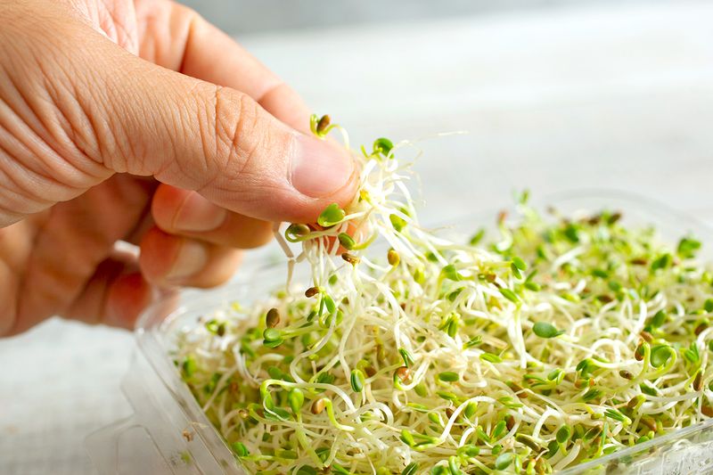 Anonymous person grabbing some alfalfa sprouts from a clear plastic container.
