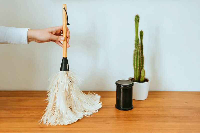 An outstretched arm holding a feather duster. They are using it to dust a flat, wooden surface. On the surface is a small potted cactus and a black canister.