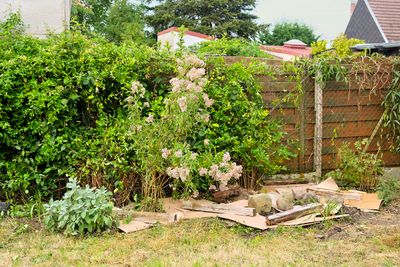 This $0 Hack Keeps Your Garden Beds Weed-Free