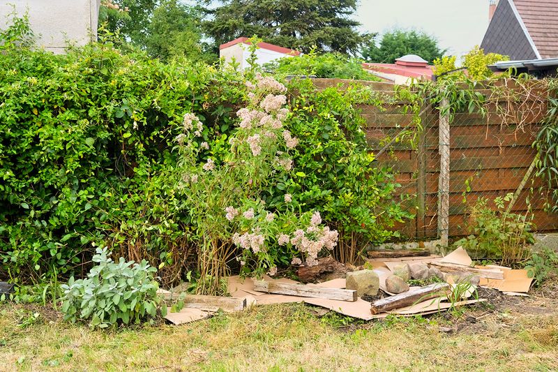 A lush backyard with cardboard laid over the soil in a garden bed with wood and rocks holding it down.