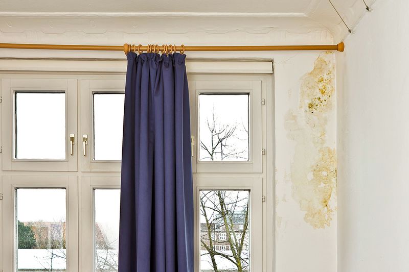 A shot of a white wall with mold growing on it. It's next to a large window with a blue curtain on a rod.