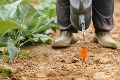 How To Water Your Garden Just Once a Week This Summer