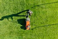 9 Things That Are Ruining Your Lawn