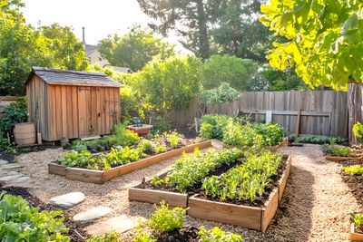 The Low-Maintenance, Low-Water Garden Style You Haven’t Tried