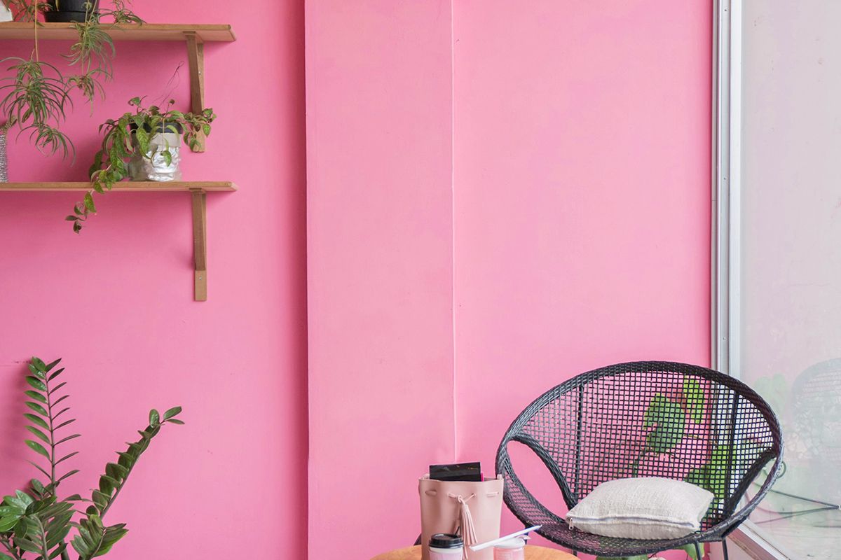 Hot pink room with plants, black chair with gray cushion, and a pink items on a table barely in view at the bottom of the image.