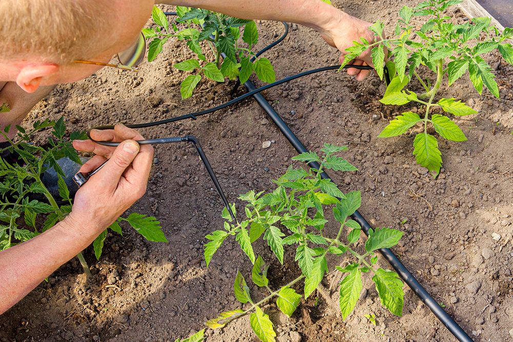 7 Water-Saving Home Upgrades That Can Help Cut Your Monthly Bill