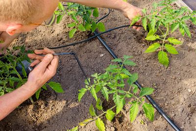 7 Water-Saving Home Upgrades That Can Help Cut Your Monthly Bill