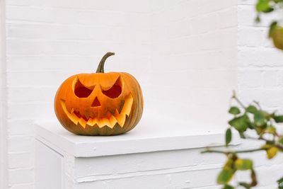The Trick to Keeping Pumpkins Fresh All Season